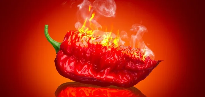 World’s Hottest Pepper: The Ultimate Heat Challenge