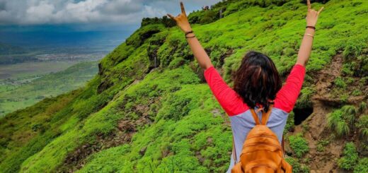 Smart Tips for Traveling in India