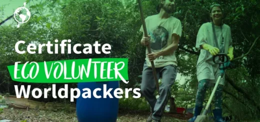 Explore the World with Worldpackers